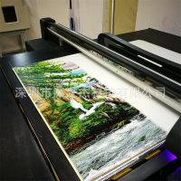 3D/5D瓷砖玻璃背景墙uv打印机，木板移门***喷绘机，瓷砖上色