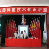ղݮ ղݮ۸