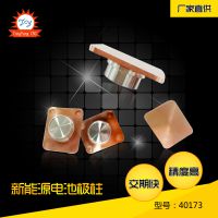 缫 Դ40173 í ͵缫ӹ
