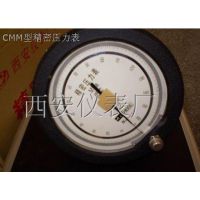 CM,CMM精密压力表
