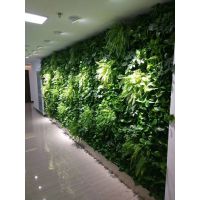 合诚兴光电LED植物生长灯，植物墙，垂直绿化补光灯