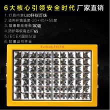 CCD97-100/200WLEDվЧͶƽάװ