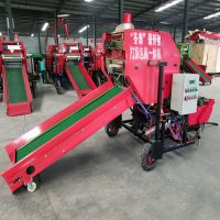 ���ܹ��Ҳ���������Ĥ������ֱ�� ʥ̩���ഢ�����