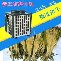 泰保型TB-ZT-HGJ6P霸王花 剑花 烘干机 小型厢式热泵烘干机 空气能 厂家直