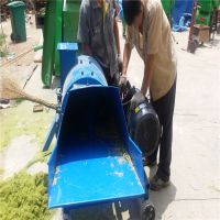 ׽ո˿ ʪո˿ Сͽո˿Ƶ01