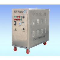 (WLY)蒸汽清洗机/蒸汽洗车机库号：M315937