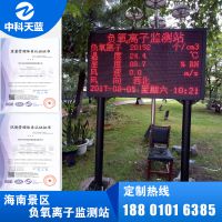 海南省公共资源交易服务中心,海南负氧离子监测站供应商