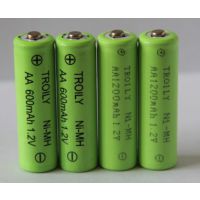 TROILYAA600mAh1.2V2.4V