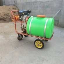 远程高压汽油打药机 启航牌多功能高压汽油打药机 手推式喷雾器价格