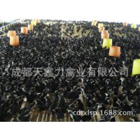 Ĵڼ硢ڼ硢ڼ繩Ӧ¼