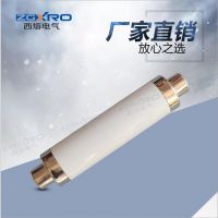 西熔熔管XRNT1-12/63-12*** SDLAJ-10 10KV高压限流熔断器