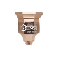 ˼(GENS)ͭˮƵˮͭˮϵͳɶ