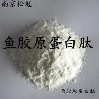 供应食品级鱼胶原蛋白肽 含量99 厂家直销 质量保证
