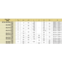 ̨ACROW ʽ-ڿ˫ȴ BT40-SLC10-070