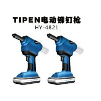 ձ TIPEN 綯íǹHY-4821