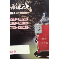 蒸汽发生器厂家 蒸汽发生器价格 蒸汽发生器用途