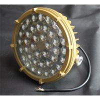 25w40w60wLED防爆泛光灯 防爆led泛光灯25w40w60w BC9302