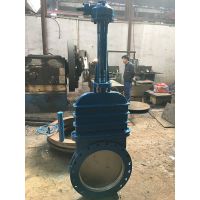 上海水兴DMZ973HXFYW型电动暗板刀型闸阀价格