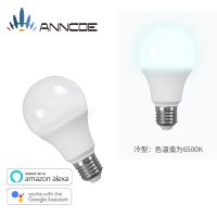 LED Ҿ܁Rdalexawifi cGoogle ؈`