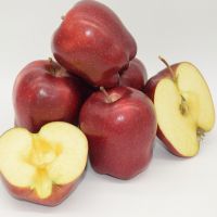 ˮ޹˾