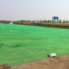 绿色环保防尘网 沙化天气盖土网 防尘网标准