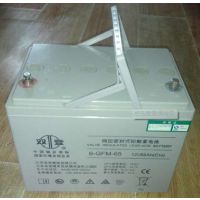 6-GFM-17˫12V17AH˦
