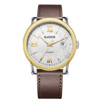 RAIDOX (瑞度士)手表 商務(wù)男機(jī)械表 金色