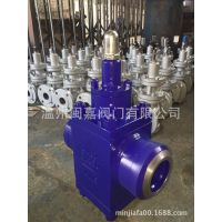 Y43F-64P316Lѹ 316Lѹ