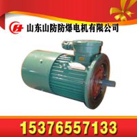 厂家供应YE2-200L2-2三相异步电动机防爆型