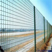 养鸡电焊网 荷兰网价格 电焊网厂家