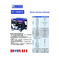 EF13000TE10KVA