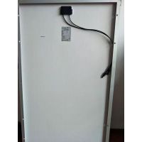A295W ԭԭ ȫ ʱ25