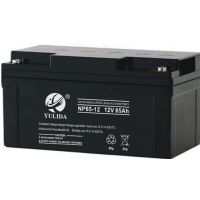 YULIDANP100-12 12V100AH