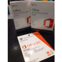 Office2016Сҵ棨׼棩 Ȩ