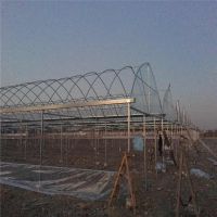 մֹܳ,5׿,6׿,7׿,8׿,9׿,10׿,11׿