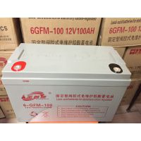 ʥ12VǦ6GFM-100մ