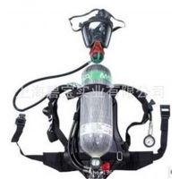 MSA BD2100鶯Ϳ