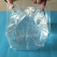 新款大容量储水盛水水袋 贴牌双手提孔折叠水袋 大号透明户外储水包装袋
