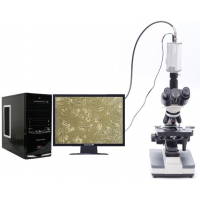 光学显微镜及成像设备 型号:TS2009 金洋万达