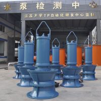 潜水轴流泵结构