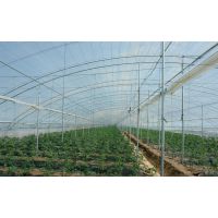 菏泽质保十年pc阳光板,菏泽阳光板价格