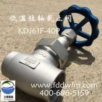  LNGֹ̲ DJ61F-40P ʽҺȻ