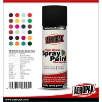 AEROPAK All Purpose Spray Paint for Coating