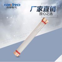 ֱ RN2-24/0.5-25  ڸѹ۶ 10KV۹