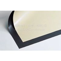 طƬPTFE²