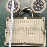 海洋王双头应急防爆灯、楼道应急照明灯BXW6229
