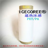 ά˿ICECOREE DTYFDYɴߡȱ