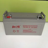 12v100ah TX100-12 Ǧά