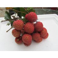 ζ֦ ֦ ֦ 13457775554 ޽