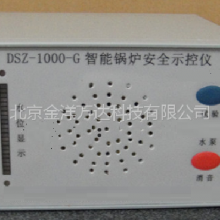 DSZ-1000-G ܹ¯ȫʾ ͺ:DSZ-1000-G